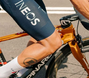 Wilier Bikes are available at Coolum Cycles